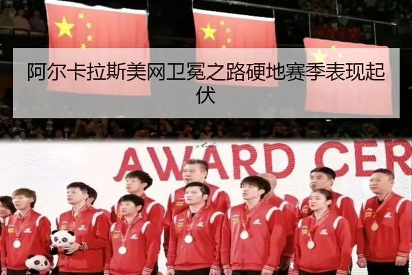 a-er-ka-la-si-mei-wang-wei-mian-zhi-lu-ying-di-sai-ji-biao-xian-qi-fu-3-371.jpg