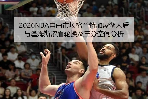 zi-you-shi-chang-ge-lan-te-jia-meng-hu-ren-hou-yu-zhan-mu-si-nong-mei-lun-huan-ji-san-fen-kong-jian-fen-xi-2-277.jpg